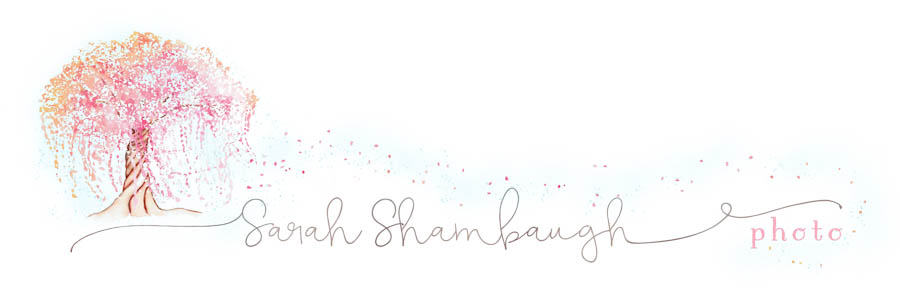 Sarah Shambaugh Photo logo